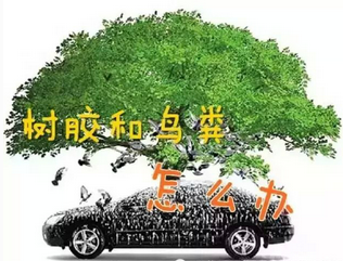 我如何清洗我車上的口香糖？
