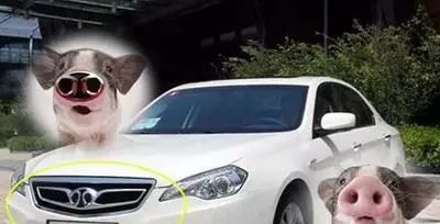[車標(biāo)資訊]全球最美車標(biāo)，最