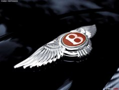車標(biāo)帶B的都很牛，不過一般人