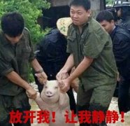 這些相似度高達(dá)80%的汽車標(biāo)志