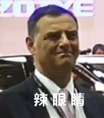 車標都被玩壞了！這些車主一個個都是戲精吧 但較酷的居然是…