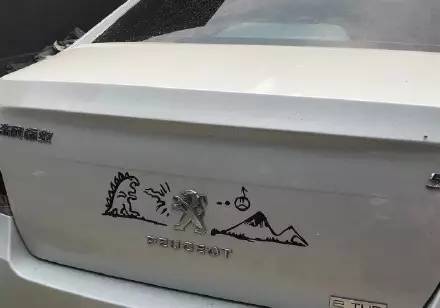 車標都被玩壞了！這些車主一個個都是戲精吧 但較酷的居然是…