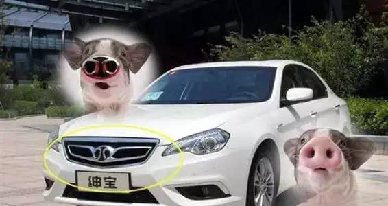 盤點國產(chǎn)汽車十大較丑車標