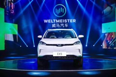 加持極光動態(tài)logo的威馬首款量