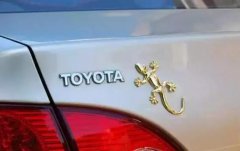 車尾貼壁虎Logo是幾個意思？